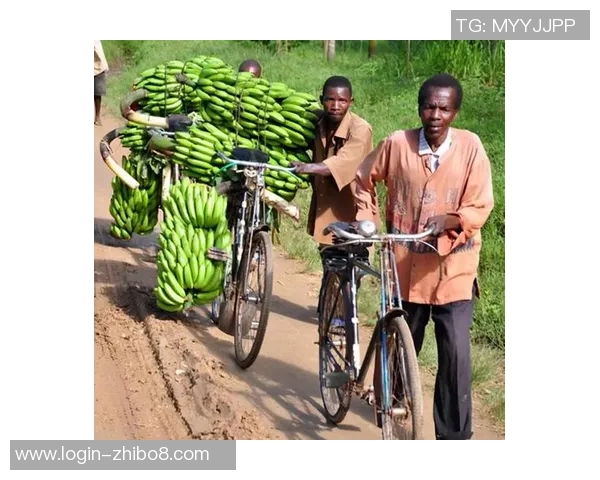 坦桑尼亚与乌干达的足球对决揭示东非足球的未来与挑战